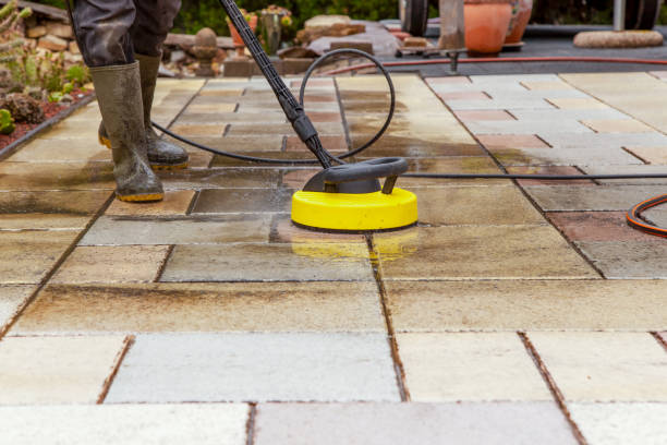 Solar Panel Cleaning in Phoenix, IL